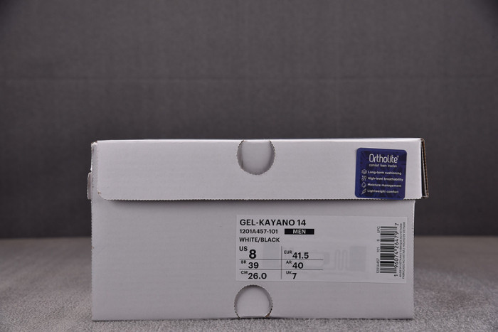 a_sics gel as1
